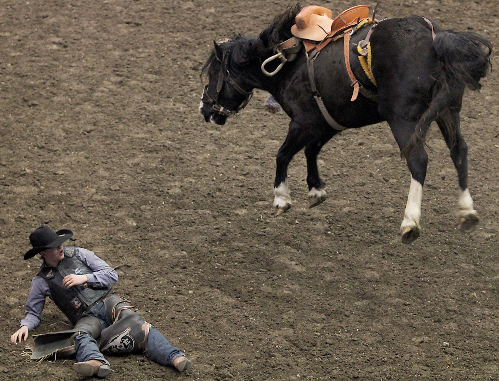 Rodeo 7.jpg